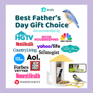 Birdfy Father's Day Media Outlets