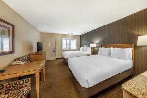 Best Western Plus Pavilions Hotel Room