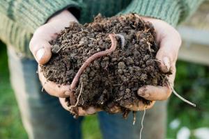 Organic Fertilizers Industry Growth