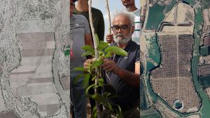 Savji Dholakia turned Kharopat's barren land green
