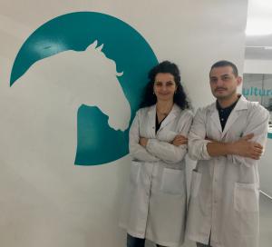 New Equine Virus (NEV) was first identified in 2013 by Isabel Fidalgo Carvalho and Alexandre Pires. Isabel and Alexandre went on to found Portugal-based equine biotech firm Equigerminal in order to develop an accurate and commercially viable NEV diagnostic test.