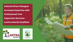 Arborist Direct Glasgow Gets Professional Tree Inspection Services - Lantra Awards Qualified