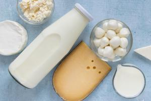 Vietnam Dairy Ingredients Market Forecast