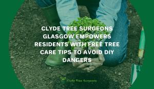 Clyde Tree Surgeons Glasgow Empowers Residents with Free Tree Care Tips to Avoid DIY Dangers
