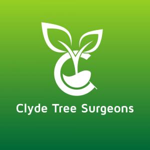 Clyde Tree Surgeons Glasgow Logo