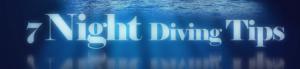 7 Night Diving Tips