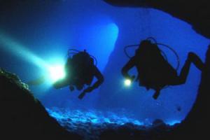 Night Divers