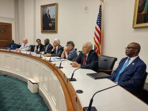 African Jewish Alliance Briefing in Congress