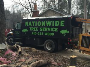 Nationwide Tree Service Tree Removal Truck Onsite