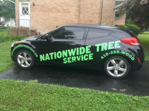 Nationwide Tree Service Free Estimates on Tree Service and Tree Removal