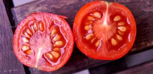 Tomato Seed Market Size, Report