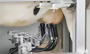 Automatic Milking Systems market