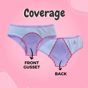 Period Panties (Menstrual Underwear) market