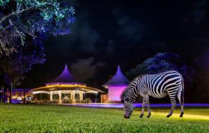 Avani Victoria Falls Resort_Zebra and Pool