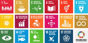 SDGs - Sustainable Development Goals - United Nations