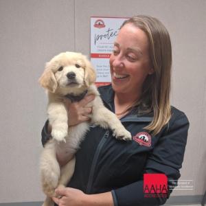Dr. Erika Sweigard excited to announce AAHA Accreditation for Mount Laurel Animal Hospital's Primary Care Department