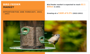 Bird Feeder share, growth