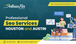 Professional SEO Services Houston and Austin