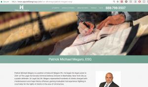 Website AppealsLawGroup, Patrick Michael Megaro, Criminal Defense Lawyer