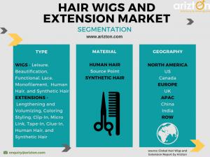 Hair Wigs and Extension Market Segments and Analysis 2023