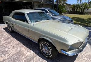restored Mustang