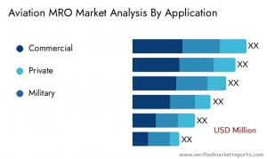 Aviation MRO Market analysis by Application