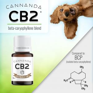 Cannanda CB2 oils offer safer option for beta-caryophyllene (BCP) instead of copaiba essential oil, and a more effective option compared to isolated beta-caryophyllene for humans and dogs