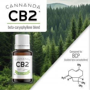 CB2 Wellness is the world's leading beta-caryophyllene blend, recognized for both its safety and efficacy versus alternative options.