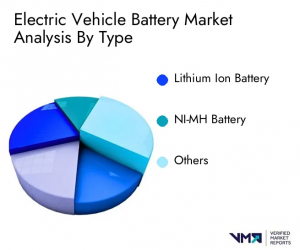 Electric Vehicle Battery Market analysis by Type