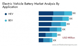 Electric Vehicle Battery Market analysis by Application