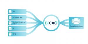 BiCXO EPM Software flow chart Mumbai