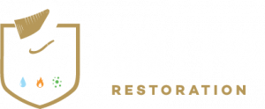 Noble Pro Restoration logo