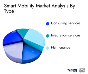 Smart Mobility Market analysis by Type