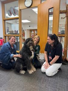 Bernie, the Certified Therapy Dog, Charms Sacred Heart Principal and Front Office Staff