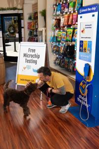 Image of Check the Chip kiosk inside the Waggin Tails Pet Store, Los Altos, CA where a man kneels next to his curly brown dog trying the kiosk