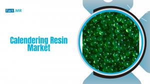 Calendering Resin Market