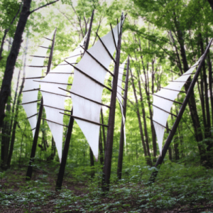 Group of white sails standing out against the backdrop of a forest.