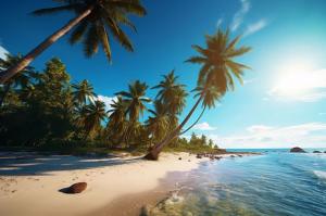 palms on the beach