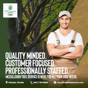 Tree Removal Service in Orlando