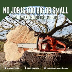 Affordable Tree Service In Orlando, FL