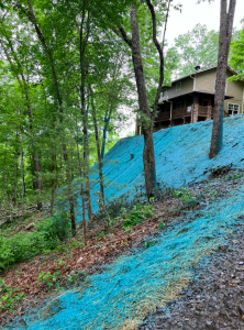 A professional technician applying a hydroseeding slurry to a residential lawn, promoting rapid growth and erosion control.