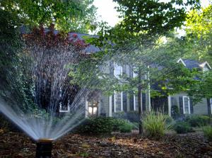Image of a yard with a sprinkler spraying over it.