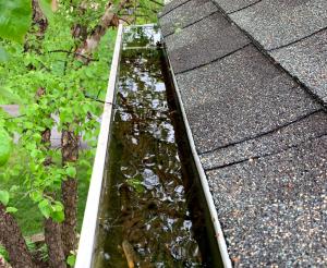 clogged gutter