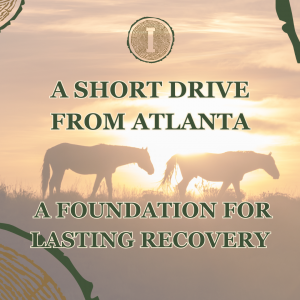 A field of horses shows the concept of Get proven medical detox options under two and a half hour drive from Atlanta at Ingrained Recovery