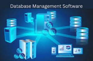 Database Software