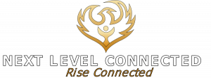 Next Level Connected logo featuring a stylized golden phoenix with outstretched wings, accompanied by the tagline "Rise Connected" beneath the company name.