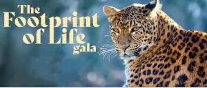 Amy Green 2024 Footprint of life Gala