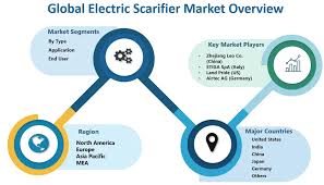 Electric Scarifier market