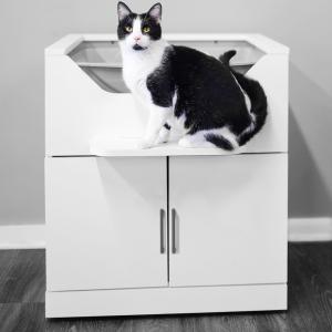 Tuxedo cat sits on perch of LoftyLoo™ Raised Litter Box