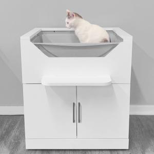 best raised kitty litter box for elderly cat owners